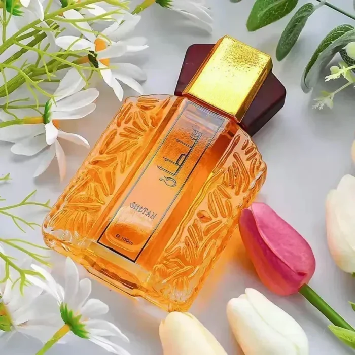 100ml estilo árabe perfume forte de alta qualidade perfumes originais masculino charme perfume fragrância feromônios duradouros atrair mulheres - Image 2